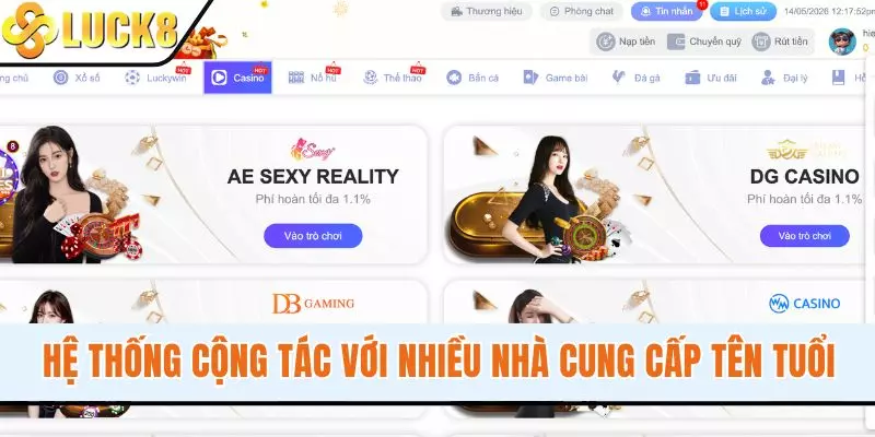 Hệ thống cộng tác với nhiều nhà cung cấp tên tuổi