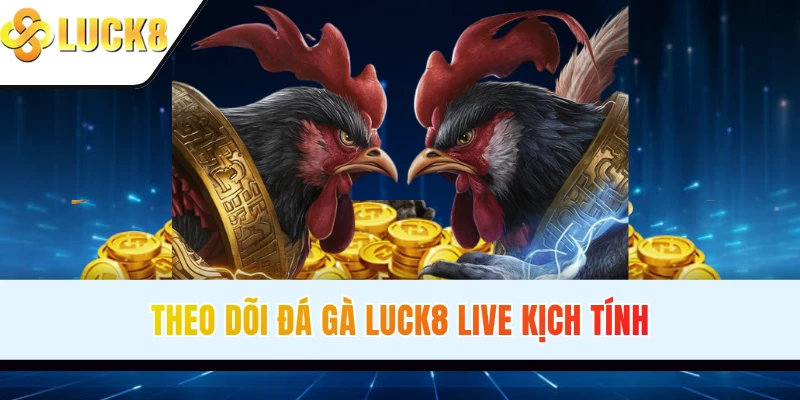 Theo dõi đá gà LUCK8 live kịch tính