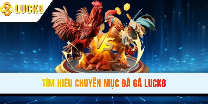 Tìm hiểu chuyên mục đá gà LUCK8